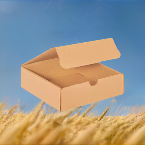 Regen Stalk Cardboard Box Mailers 3000/Case